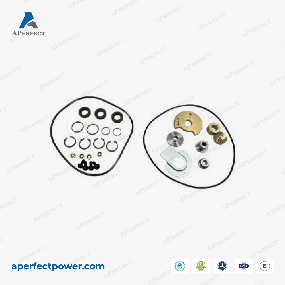 Aperfect Repair Kits 2842125 for 06-10 PACCAR MX13 HE531VE